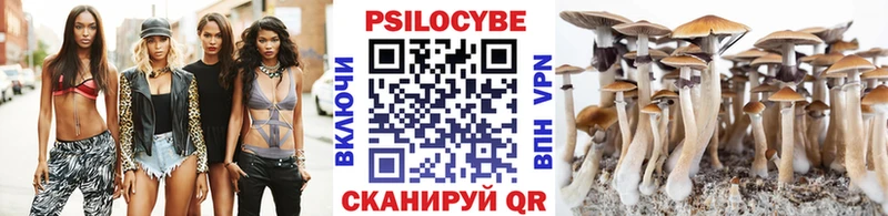 Галлюциногенные грибы GOLDEN TEACHER  купить наркоту  Тайшет 