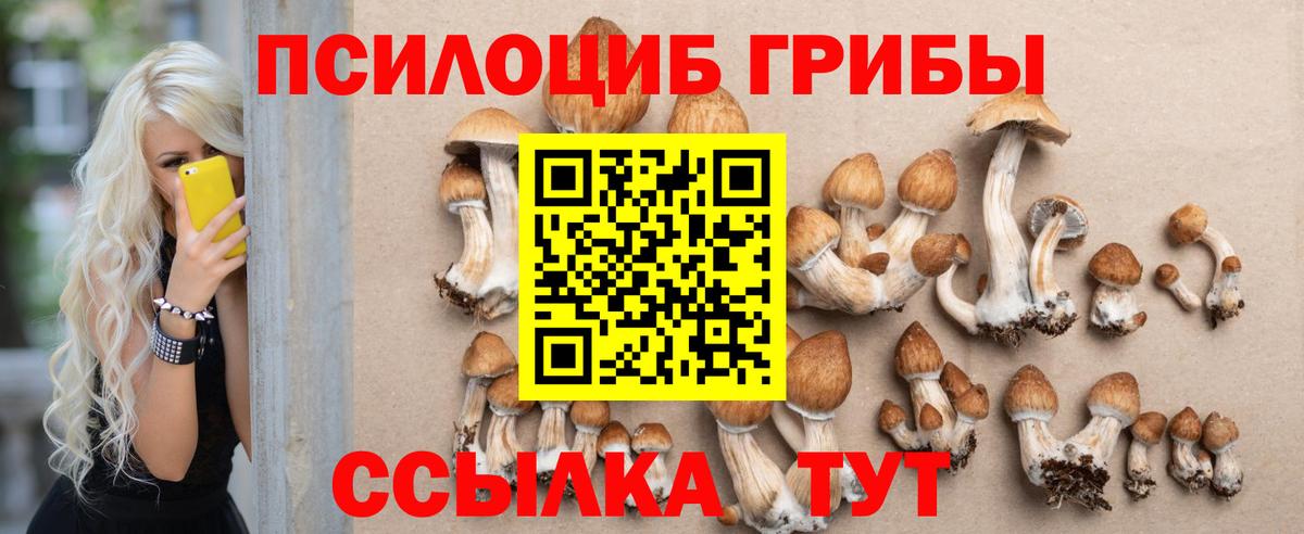 Псилоцибиновые грибы прущие грибы  Вход с VPN  Тайшет  Псилоцибиновые грибы прущие грибы 