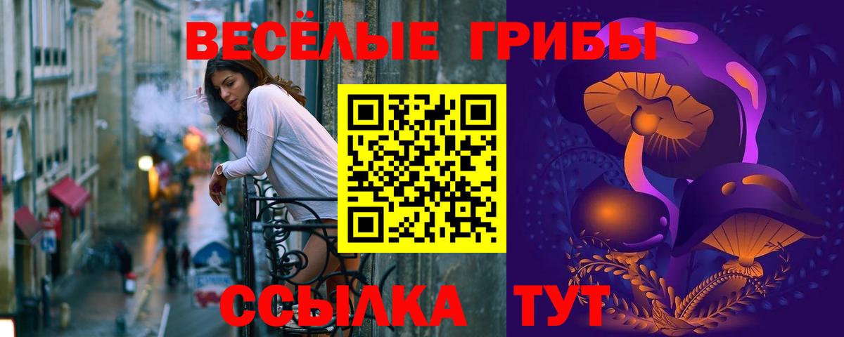 Псилоцибиновые грибы MAGIC MUSHROOMS Тайшет